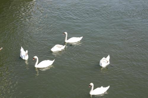 Hotel Park - image 4