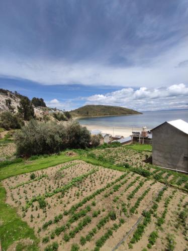 Hostal Margarita in Challapampa