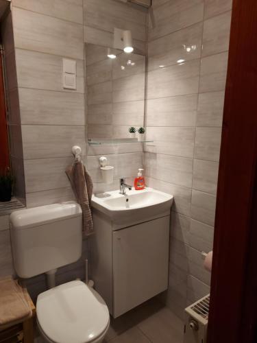 Attila-Apartman Budaörs - image 9