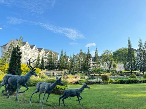 . Private Condo Middle in Khaoyai for 2-4 People & Family