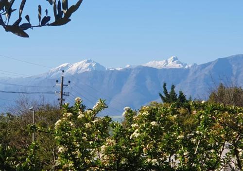 View, Die Tuin Hekkie In Riebeek-West in Riebeek-Wes