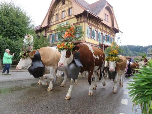 Hotel Bären - main image