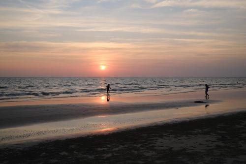 Guesthouse Maya Coconut Garden Guesthouse Maya Coconut Garden