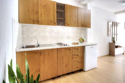 Apartment Grozdana - image 14