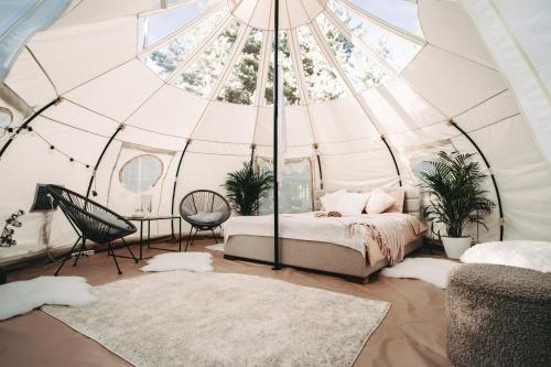 1 queen bed, 1 twin bed