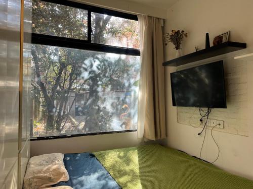 villa with perfect garden in XUHUI nearby art museum, Shanghai (photo 7)