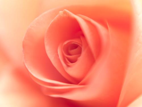 YHA Ravenstor - image 10