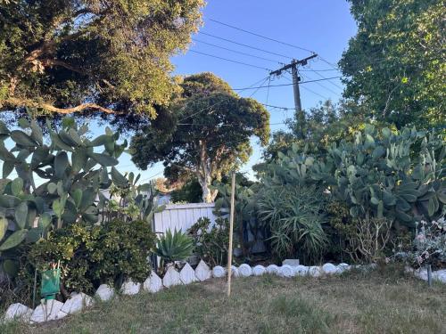 The Cactus View Room Train Staion in Clayton