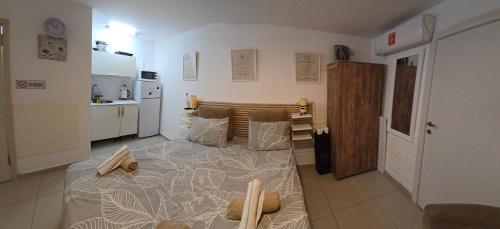 Neviot, Eilat (photo 6)