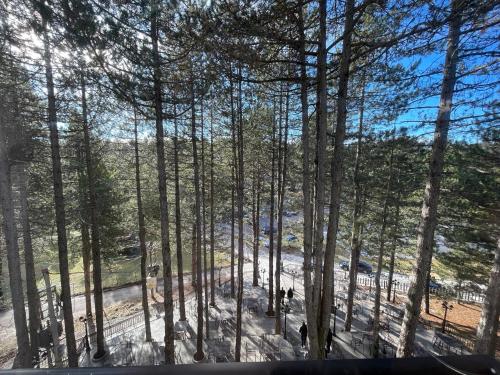 PineHill Hotel, Restaurant , Pool & Spa - RAZEM