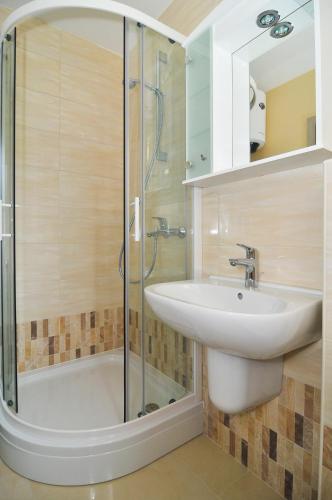 Apartments Borozan - image 7