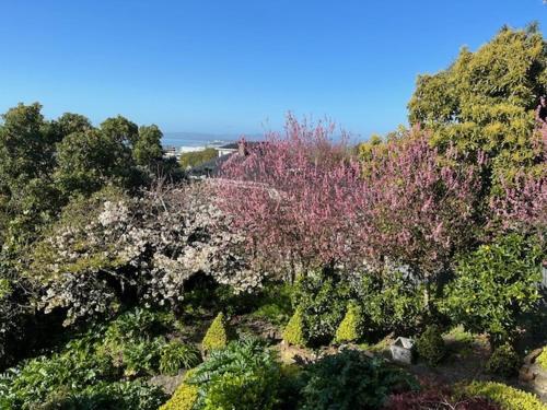 สวน, Luxury Villa on Napier Hill in บลัฟ ฮิลล์