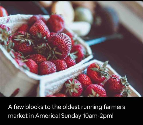 Rittenhouse Square near Kimmel Center 1BD Rittenhouse Square near Kimmel Center 1BD