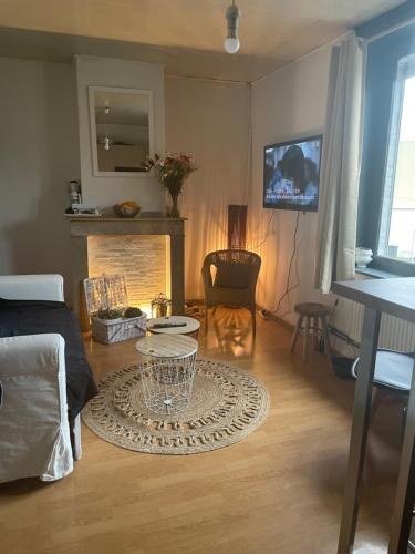 Appartement privatif cozy Euratechnologies in Bois Blancs