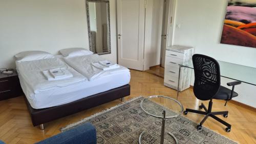 Very spacious studio with balcony - Parkview 2, Curych (fotografie 2)