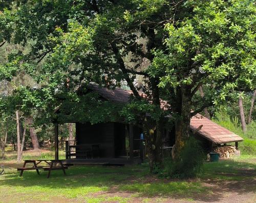 Chalet de l 'étang gîte à louer Saint-Laurent