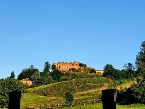 Oasi del Monferrato - appartamento verde in Mombercelli