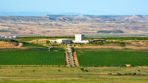 Bodega Pago de Cirsus