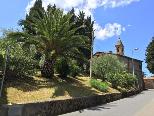 La Ginestra - Altana in Lajatico
