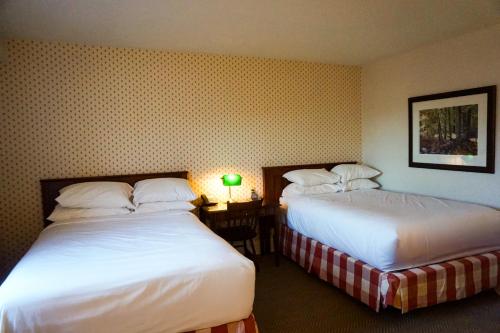 Mill Falls Resort Collection at the Lake Mill Falls Resort Collection at the Lake