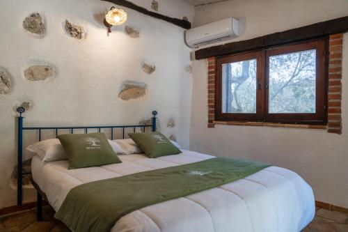 Executive Single Room with Bathroom room in Roba Degli Ulivi