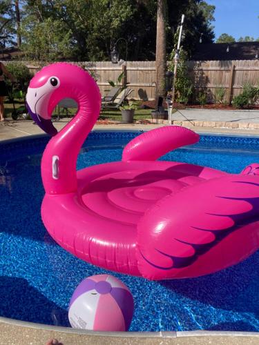 Very Private 3 Bed Home with HEATED Pool Palms and Big Fenced Yard