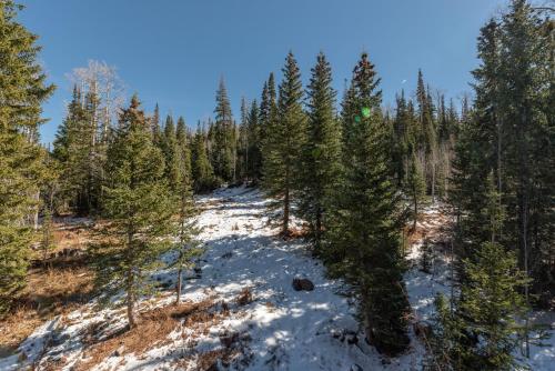 สภาพแวดล้อมโดยรอบ, Ski In Ski Out to Chair 8 3rd floor No elevator in ไบรอัน เฮด (UT)