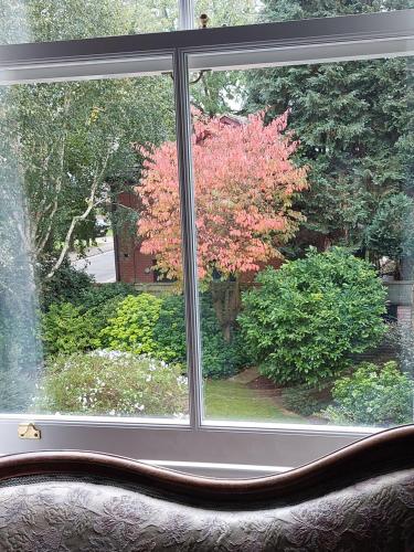 Banbury Cross B&B - image 7