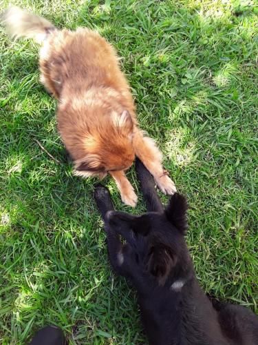 Canto das Águas Cachoeirinha