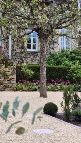 Moulin Renaudiots - Maison d'hôtes BnB Curgy