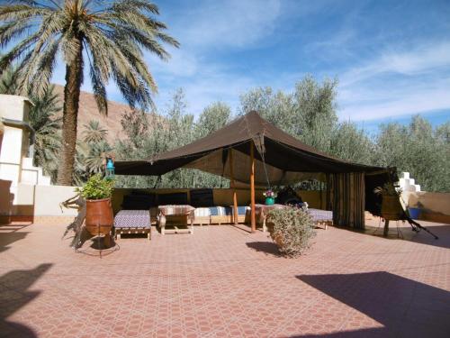 棕榈树宾馆 棕榈树宾馆