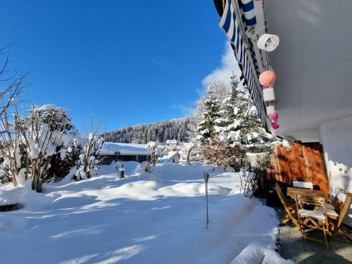 Half chalet with garden & balcony - 2' to Ski bus, Laax (Foto 9)