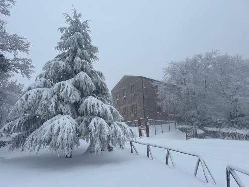 . NEBRIS - Rifugio del Parco
