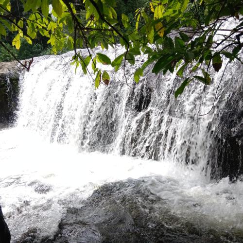 Holy Village Homestay in Inchathotty