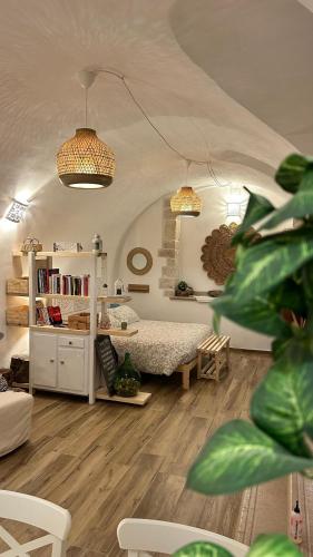 Apollonia suite