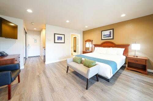 Single Room - Disability Access