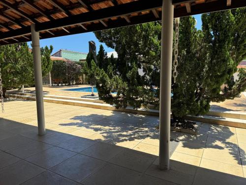 Familia Albatroz Familia Albatroz