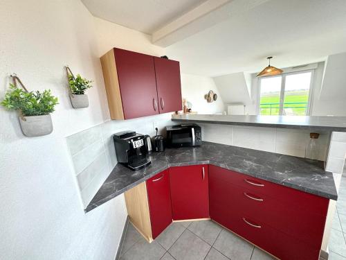 Konyha, Le belle vue à Horbourg-Whir (Le belle vue a Horbourg-Whir) in Horbourg-Wihr