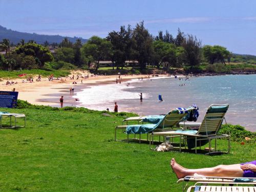Kamaole Nalu 504 - image 4