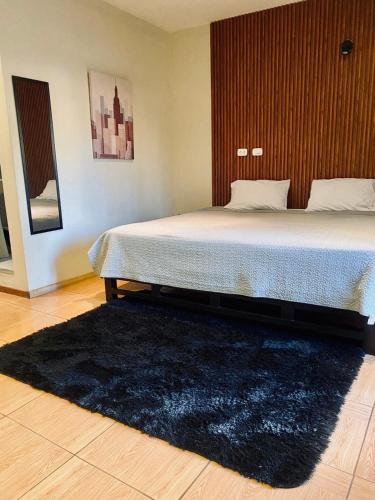 Deluxe Apartments in Arequipa Downtown