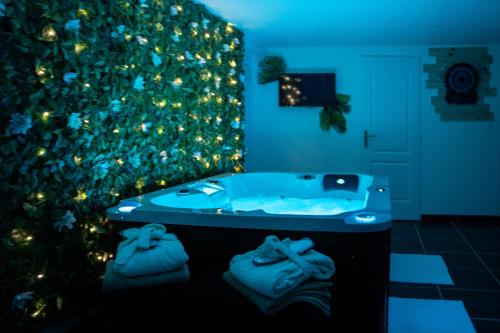 Muraille du château avec jacuzzi cottage Nemours