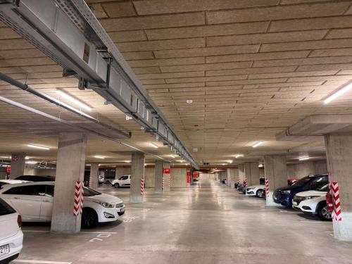Apt 555 New & Fully Equipped with Free Garage, Bratislava (photo 9)