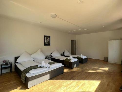 Spacious Apartments in Central Cologne, near the Cathedral