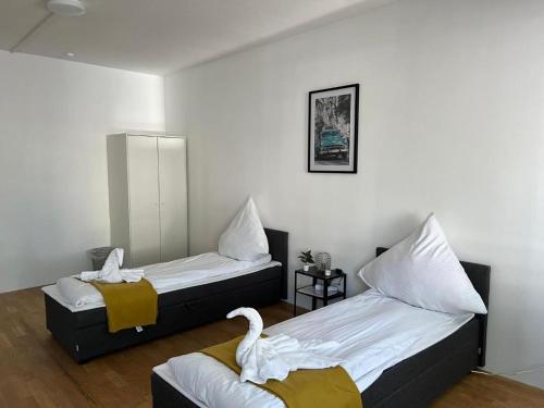 Spacious Apartments in Central Cologne, near the Cathedral