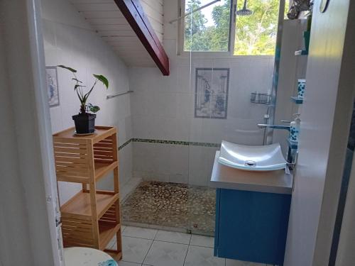 Salle de bain, Haut de Villa LA FLEUR DE CANNE in Lamentin