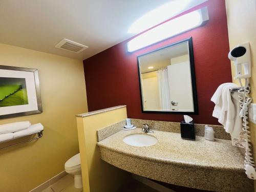 King Balcony Room