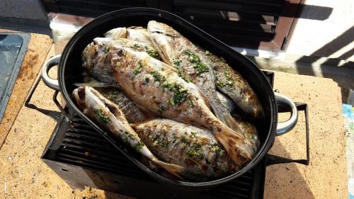 Apartments Delfin - main image