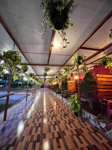 Garden, Madhura Agro Tourism in Bavdhan