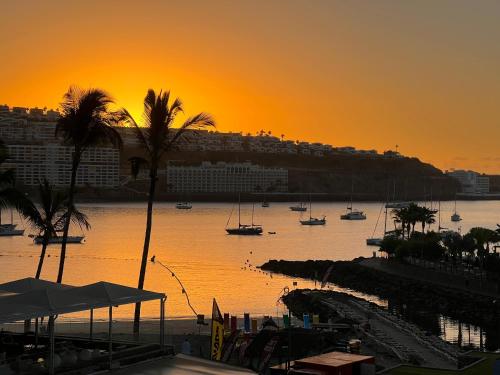 Puerto Anfi Puerto Anfi