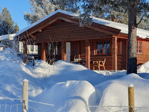 Viesnīcas āriene, Bjørgebu Camping AS in Mysusaeter